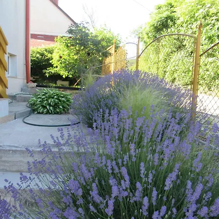 Holiday home With Pool In Csopak-balaton 58065 Csopak